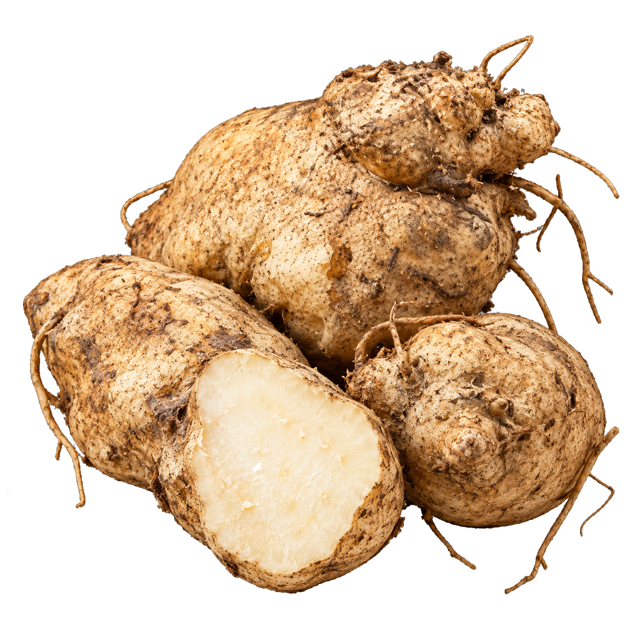Herba Ubi Jaga Jus Qaura